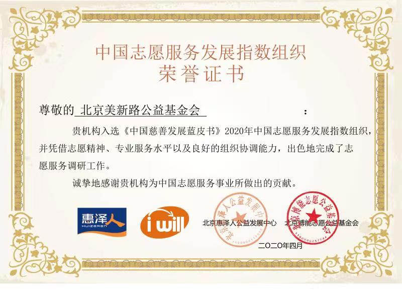 中国志愿服务发展指数组织荣誉证书